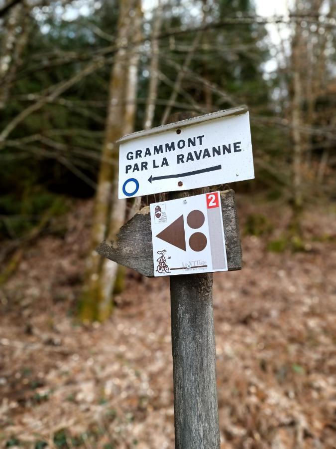 Gite De La Ravanne Ramonchamp Exteriér fotografie